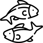 Fischerei, Fischereikarten